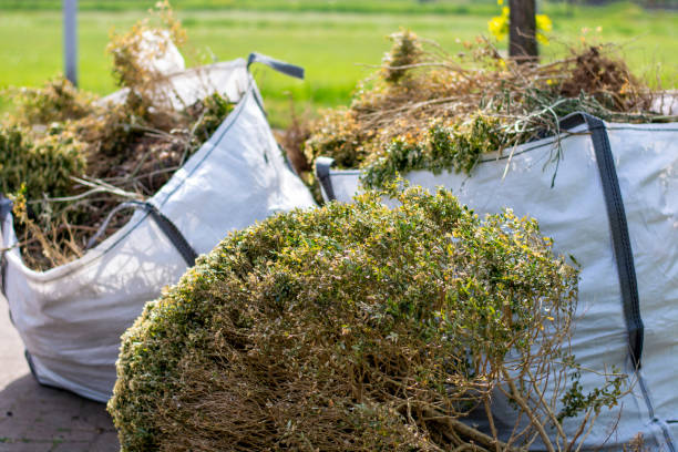 Trash Removal Near Me in Southgate, MI